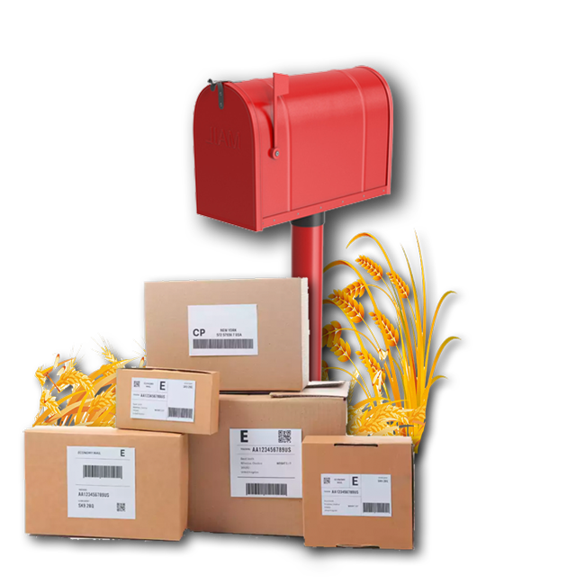 BIMpilot | Digitale Info Paketversand & Retouren